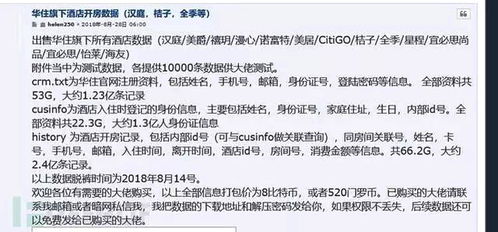 揭秘查开房记录网站软件，真相、风险与合法途径探索
