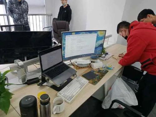 信誉黑客在线联系方式，揭秘网络安全领域的守门人