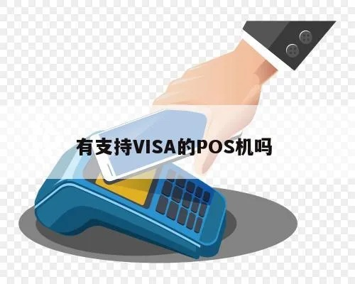 办理Visa POS机的关键步骤与案例解析