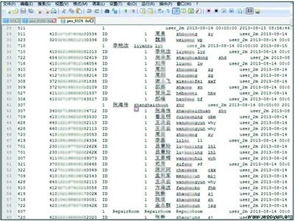 揭秘网络隐私，免费在线查开房记录的真相与风险