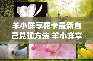 手把手教你3步套出羊小咩享花卡，保姆级攻略+避坑指南