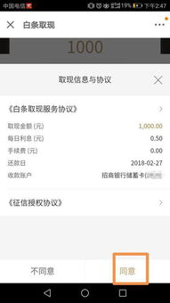 白条付款提现全攻略，操作详解与案例分享