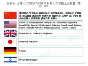 白条里的待提现，一文解读你的疑惑与操作指南