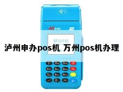 泸州如何办理POS机—一站式指南