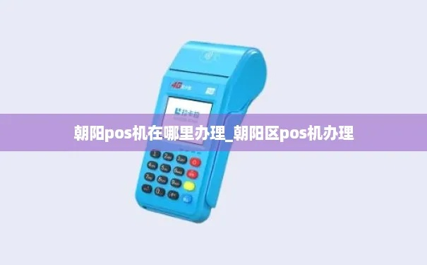 北京朝阳区办理POS机指南