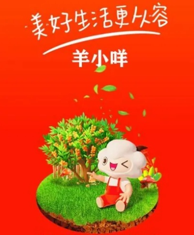 爱尚名品羊小咩享花卡套，实用指南与案例分享