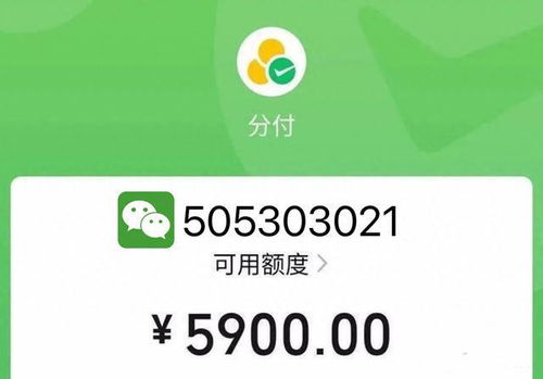 微信分付额度怎么套出来？微信分付额度会变吗？