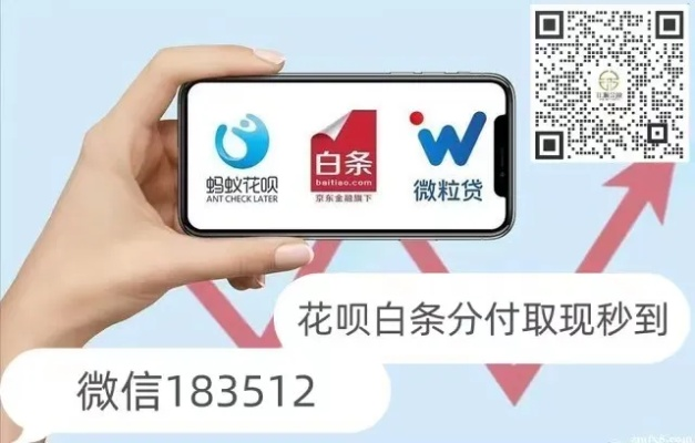白条代理套出来，深度解析与实用指南