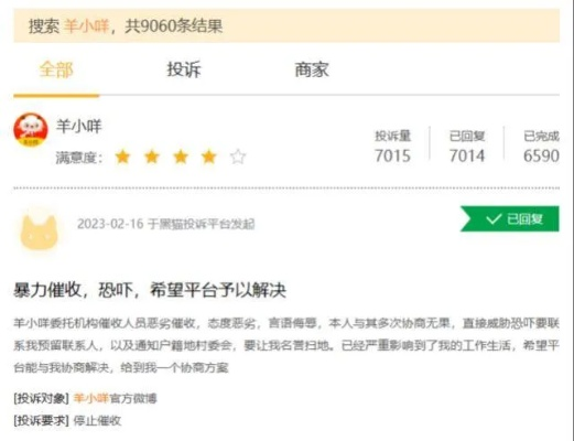 羊小咩套现点位详解，从理论到实战的全面解析