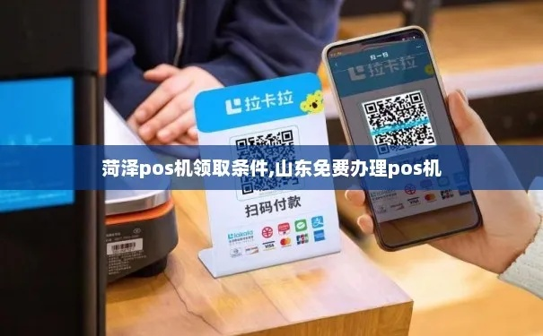 菏泽个人POS机办理指南