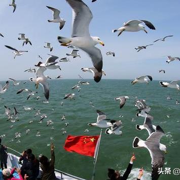 长春外币pos机办理指南