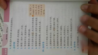 西安羊小咩便荔卡取现指南，操作、注意事项与案例解析