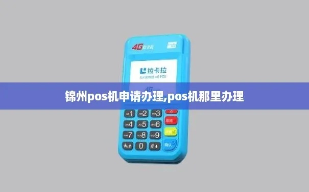 锦州市申请POS机的流程与案例解析