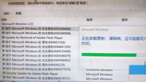 有拉卡拉POS机申请易分期的攻略与案例解析