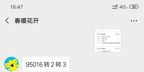 个人POS机申请最快到账途径探讨