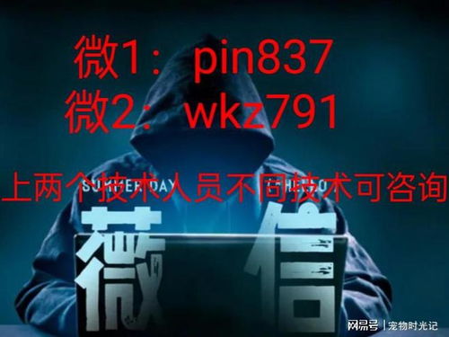 黑客24小时在线接单服务，暗网接单、风险与法律边界全揭秘
