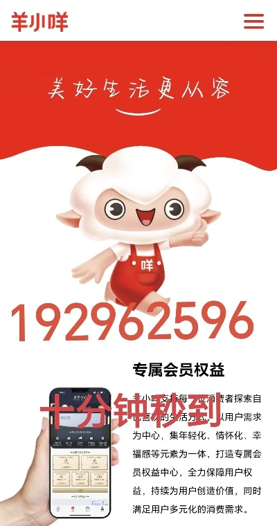 想做羊小咩享花卡提现业务，看这篇就够了！