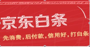 掌握个人白条免费提现技巧，轻松解决资金难题