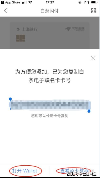 申请京东白条POS机申请流程与案例解析