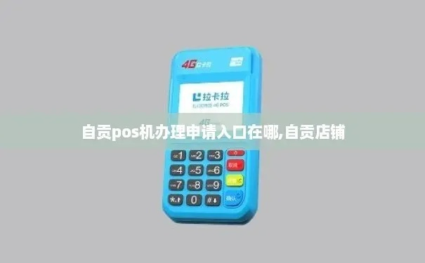 自贡办理POS机指南