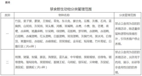 离婚时酒店记录怎么查？全面解读查询流程与注意事项