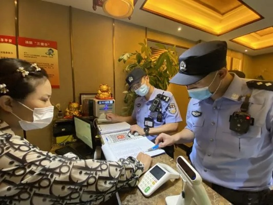 公安局查住酒店记录，流程、细节与案例解析