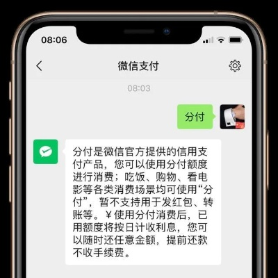 微信分付额度套现攻略，轻松获取额度，消费无忧！
