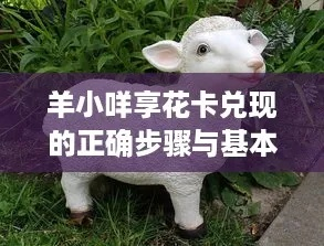 羊小咩享花卡取现放款快吗？全攻略+真实案例解析