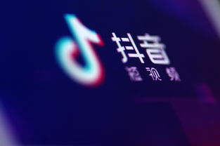 泸州抖音月付提现全攻略
