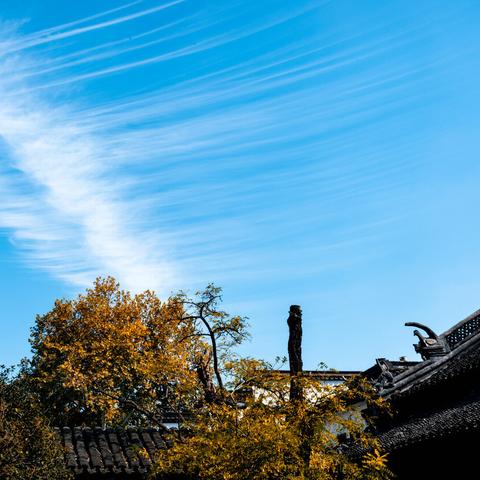 如何查酒店住宿记录，实用指南与案例分析