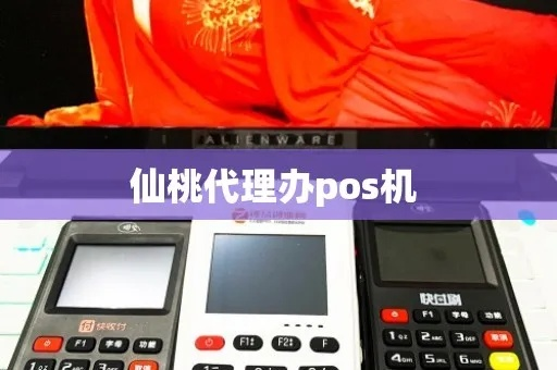 轻松掌握，高效管理—仙桃个人POS机办理全攻略