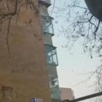 酒店住房记录查询频率及相关解析