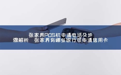 张家界银行POS机办理网上申请全攻略