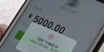 微信分付套现全攻略？这些坑千万别踩！