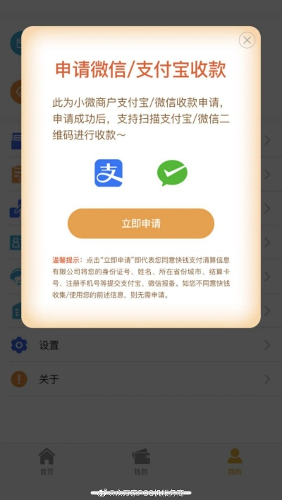 支付宝有POS机申请码吗？探索便捷申请流程与案例解析