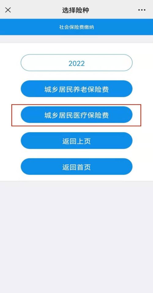 白条想套出来？详解操作流程与注意事项！