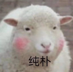 羊小咩便荔卡提现攻略详解