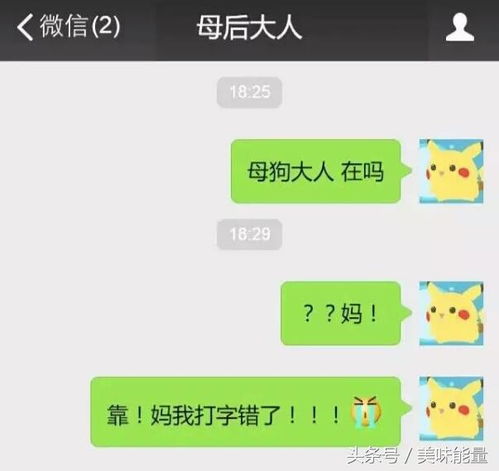 可以查微信聊天记录吗？详解背后的真相与注意事项