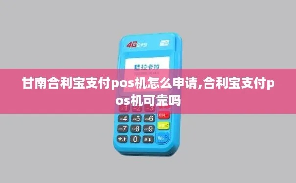 甘南合利宝支付POS机申请流程详解