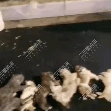辽源怎么查别人手机微信聊天记录？合法途径与注意事项全解析