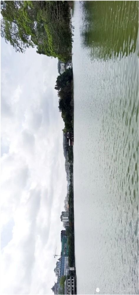 台州套出来羊小咩享花卡案例