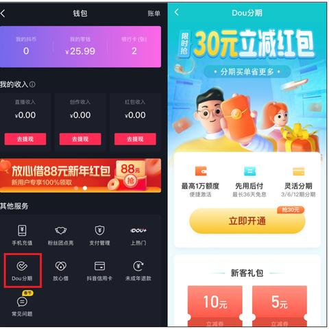 抖音月付套出来限制额度详解，操作指南与案例分析