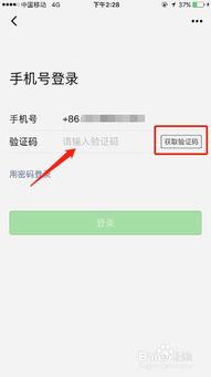 如何查看别人微信聊天记录的步骤与技巧