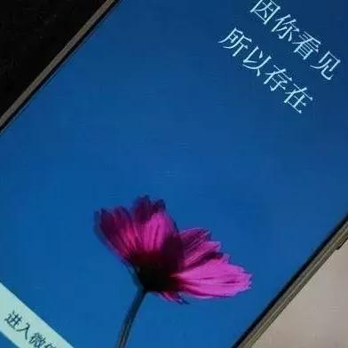 微信聊天记录被窃取？这些神器软件是真是假？