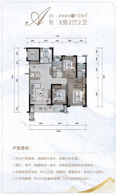 运城白条最新套出来，深度解析与实用指南