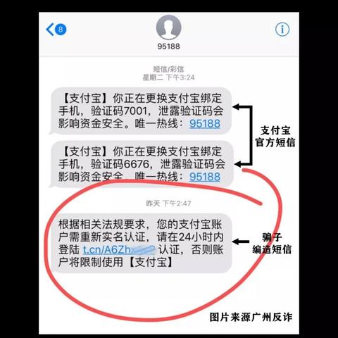 我想查短信息怎么查能告诉我？详细步骤与案例说明