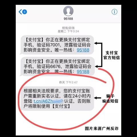 我想查短信息怎么查能告诉我？详细步骤与案例说明
