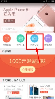 桃多多额度提现全解析，手把手教你玩转资金周转新姿势