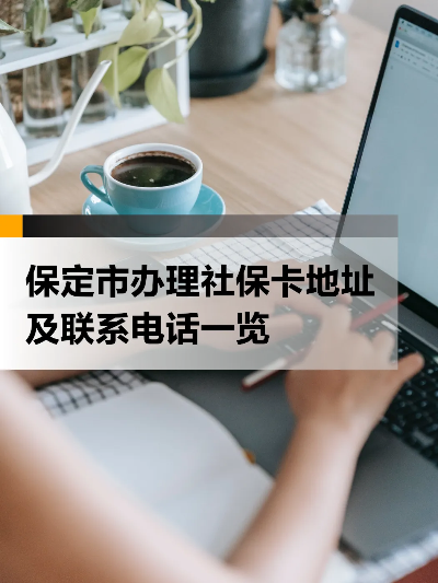 保定POS机办理中心全攻略