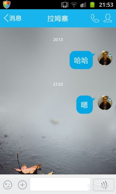 手機上QQ好友刪除後如何查看聊天记录？实用指南在这里